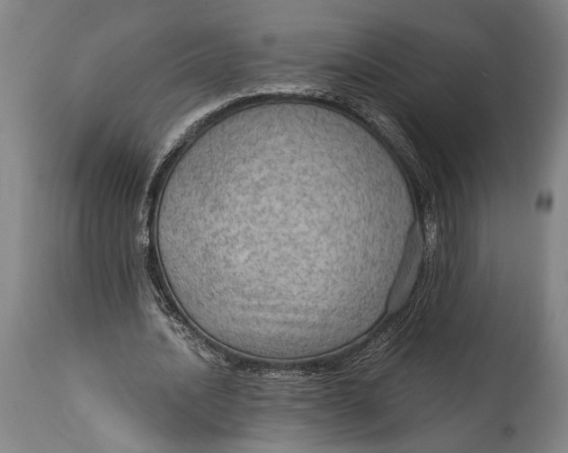 X0000114600628200911161355