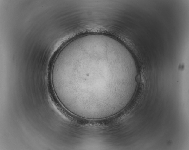 X0000114600630200911161355