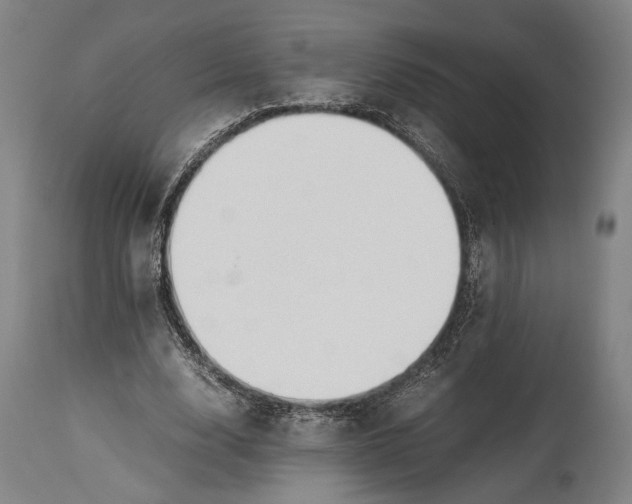 X0000114600632200911161355