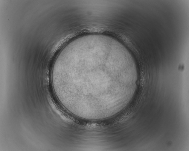 X0000114600634200911161355