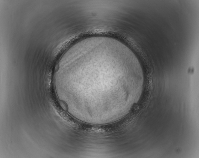 X0000114600640200911161355