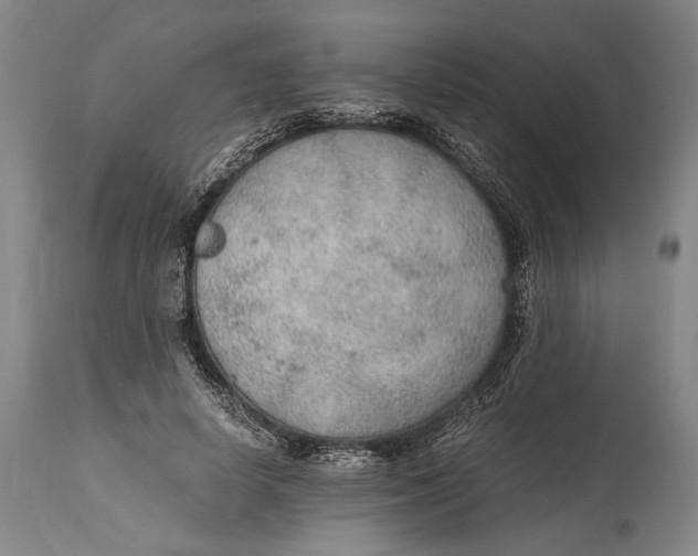 X0000114600642200911161355