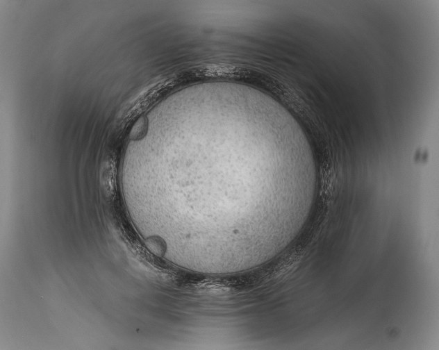 X0000114600648200911161355