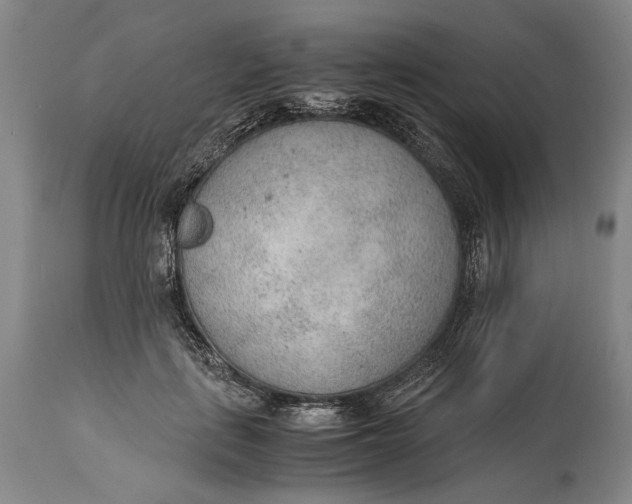 X0000114600651200911161355