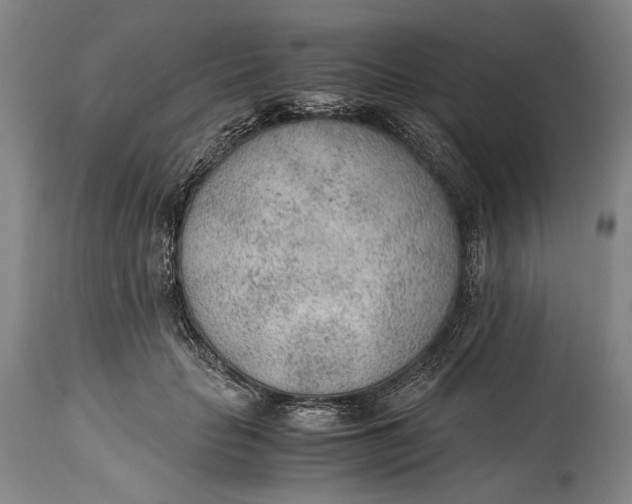 X0000114600653200911161355