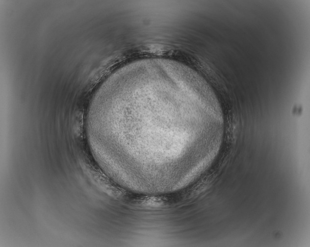 X0000114600656200911161355