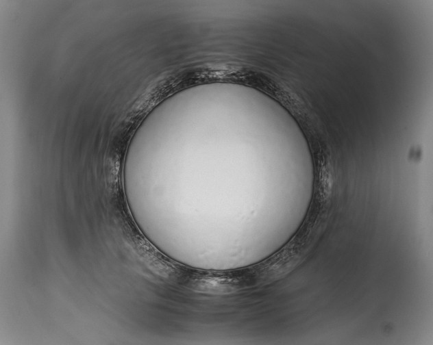 X0000114600657200911161355