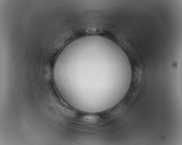 X0000114600659200911161355