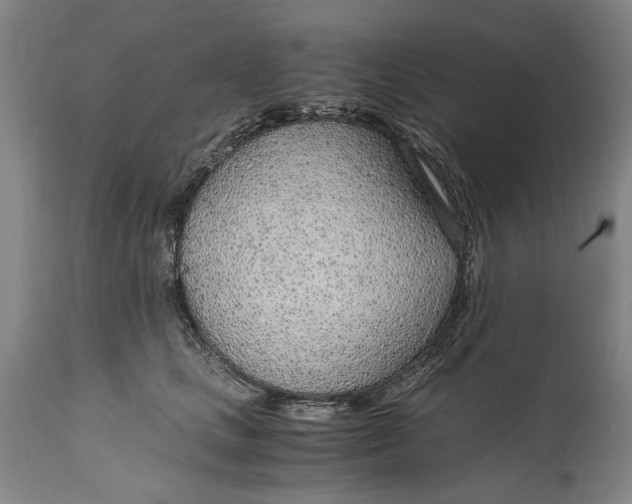 X0000114600661200911161355