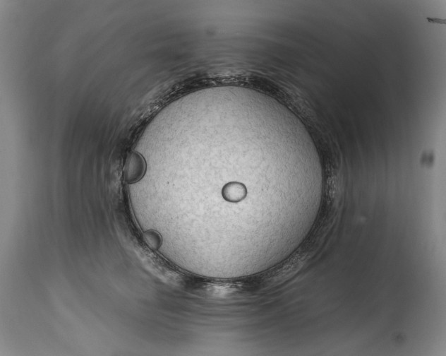 X0000114600662200911161355