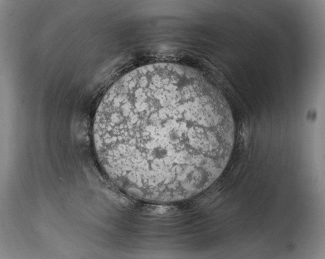 X0000114600663200911161355