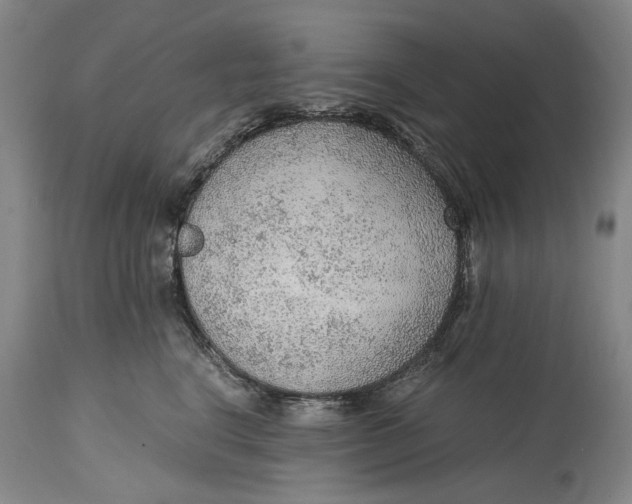 X0000114600664200911161355