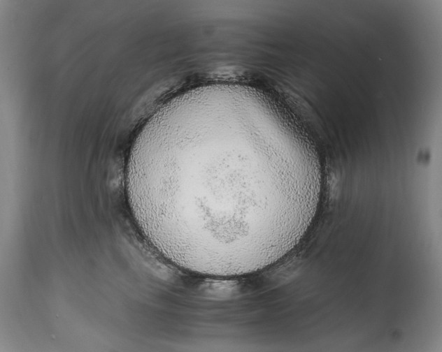 X0000114600665200911161355