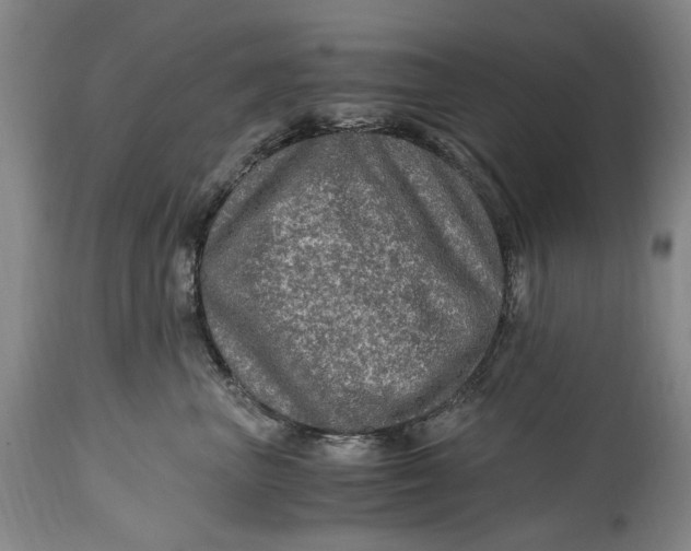 X0000114600667200911161355