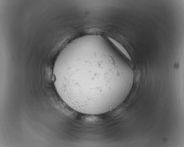 X0000114600669200911161355