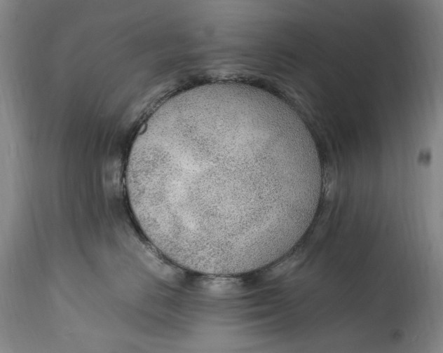 X0000114600670200911161355