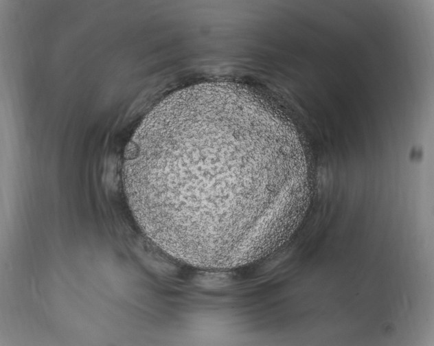 X0000114600671200911161355