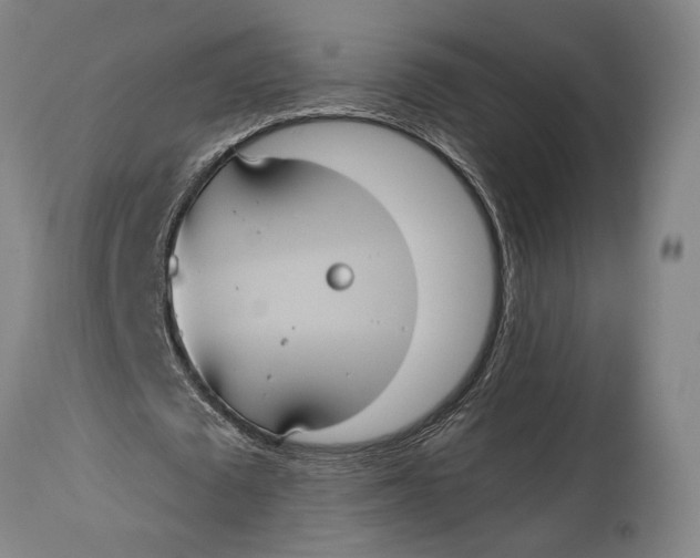 X0000114600673200911161355