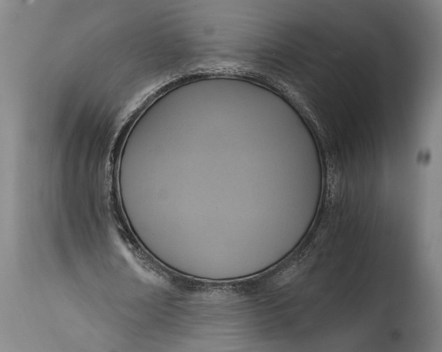 X0000114600674200911161355