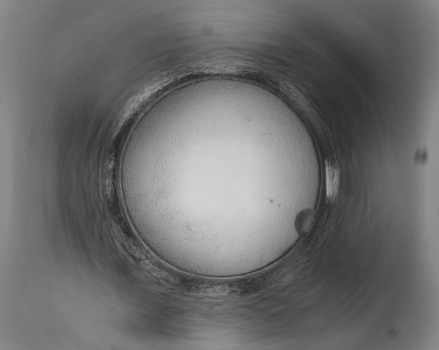 X0000114600675200911161355