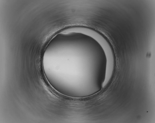 X0000114600677200911161354