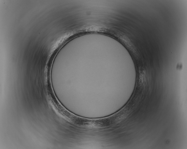 X0000114600678200911161354