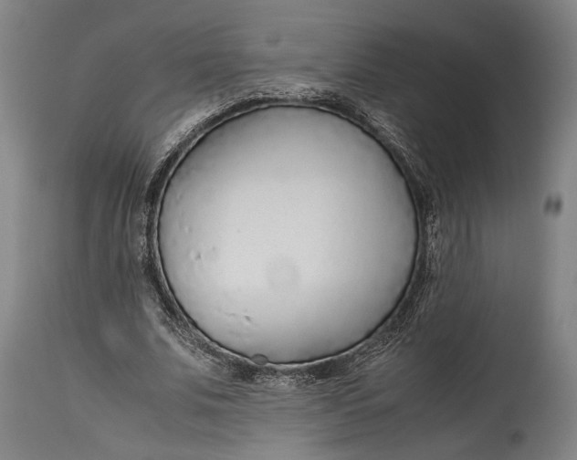 X0000114600679200911161354