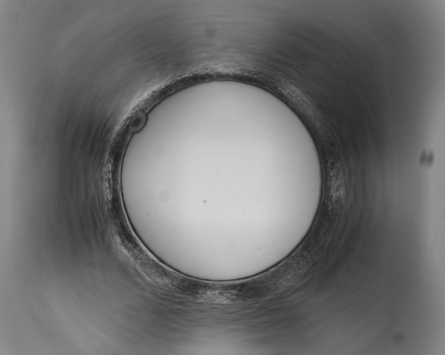 X0000114600680200911161354