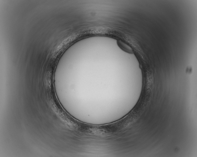 X0000114600681200911161354