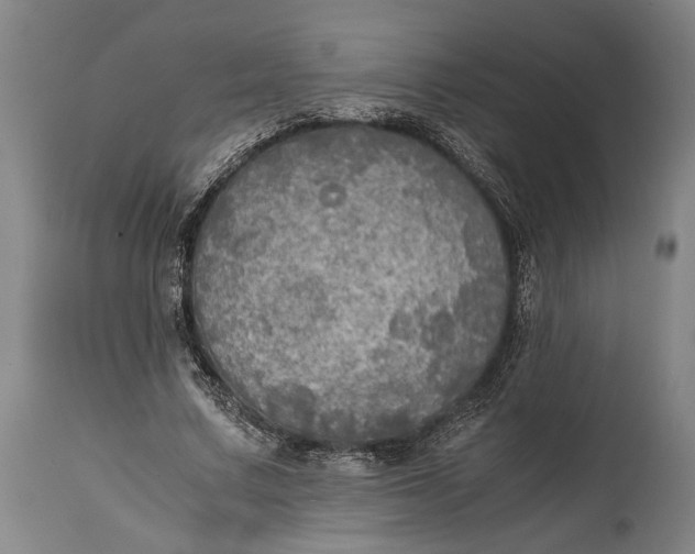 X0000114600683200911161354