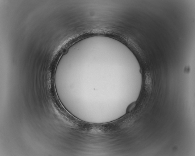 X0000114600684200911161354