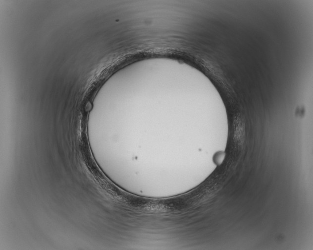 X0000114600685200911161354