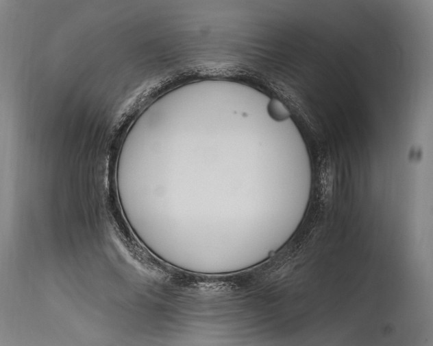 X0000114600686200911161354