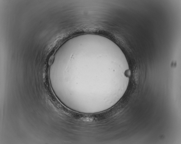 X0000114600687200911161354