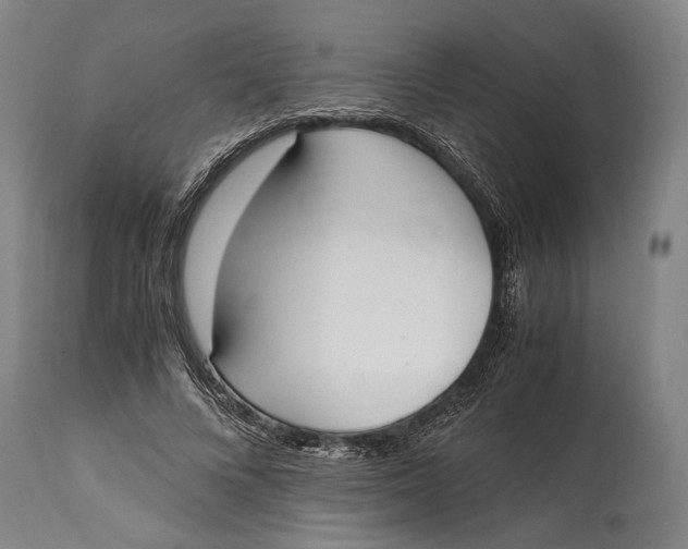 X0000114600688200911161354