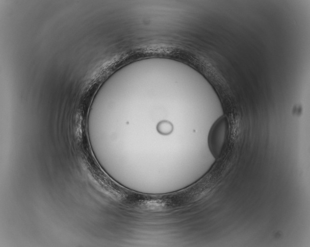 X0000114600692200911161354