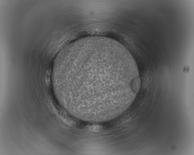 X0000114600695200911161354