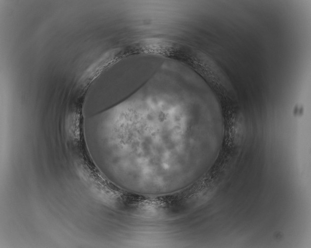 X0000114600696200911161354