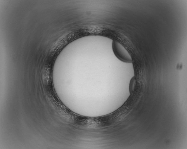 X0000114600697200911161354