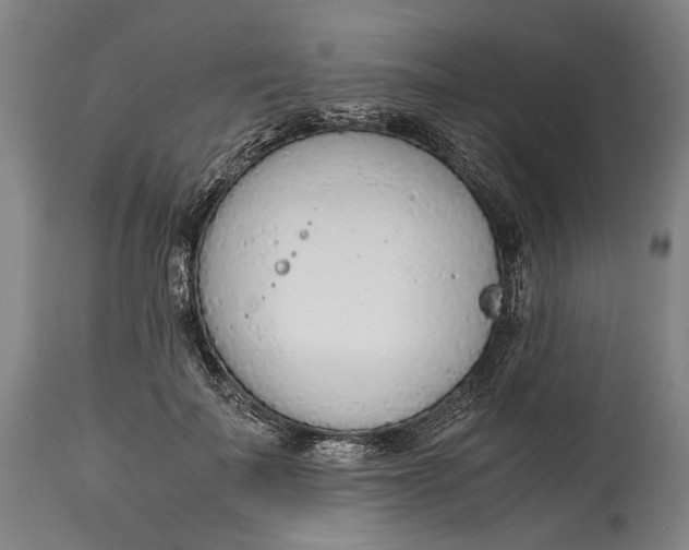 X0000114600699200911161354