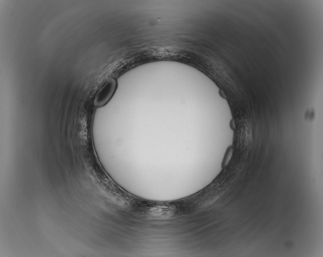 X0000114600700200911161354