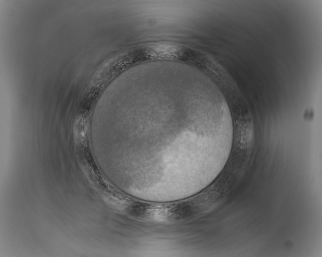 X0000114600701200911161354