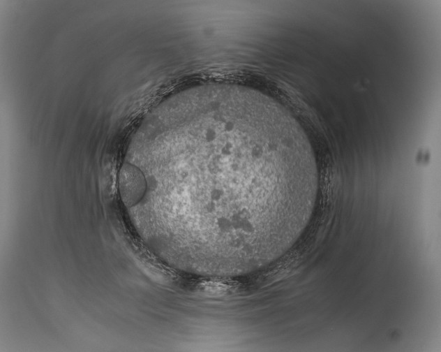 X0000114600703200911161354