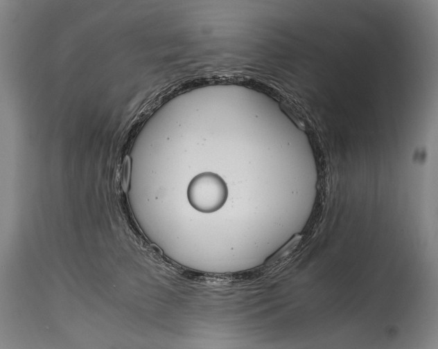 X0000114600709200911161354