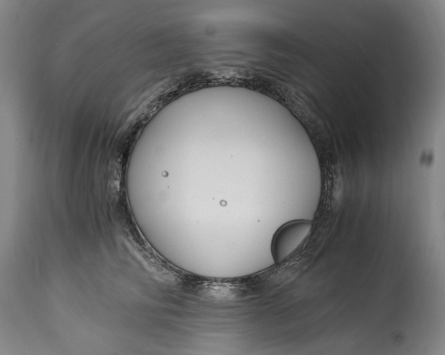 X0000114600710200911161354