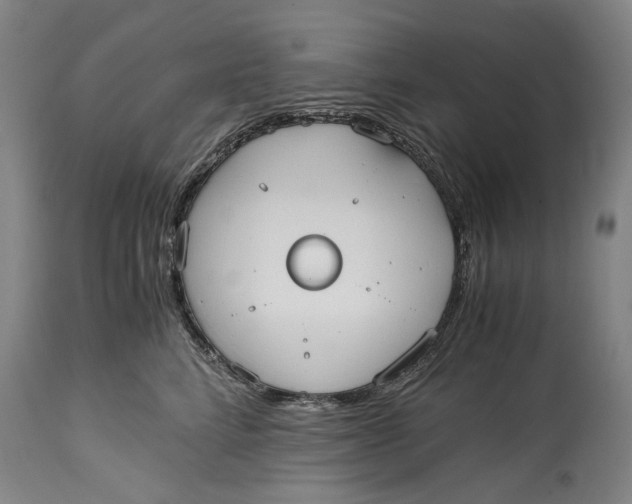 X0000114600712200911161354