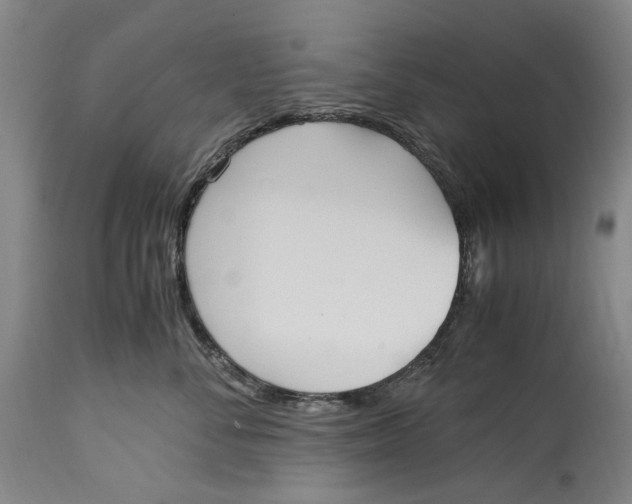 X0000114600716200911161354