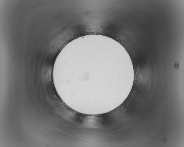 X0000114600717200911161354