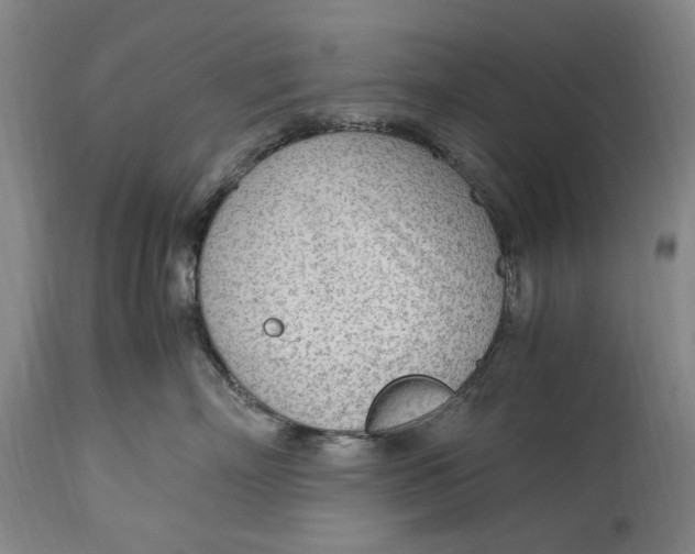 X0000114600718200911161354