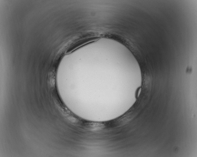 X0000114600719200911161354